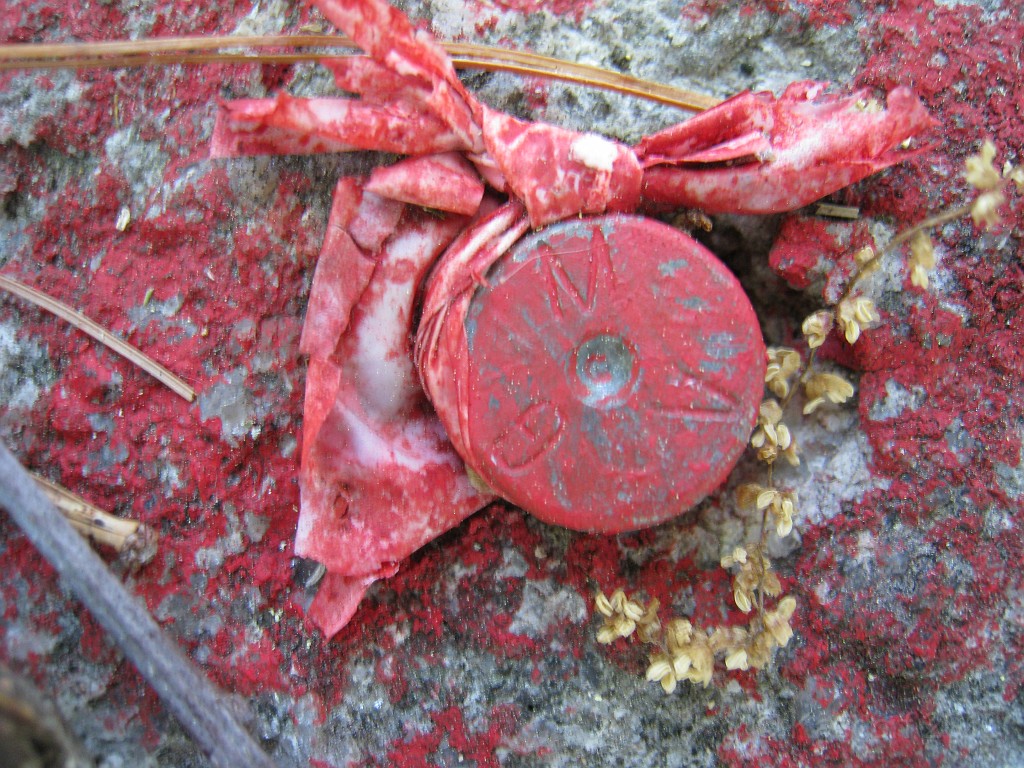 Elwell Trail NH 2010 255.jpg - Some sort of benchmark on the top of Big Sugarloaf.